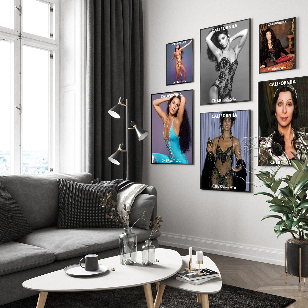 Cher Sexy Music Star Art Print - Vintage Collectible Magazines review and price