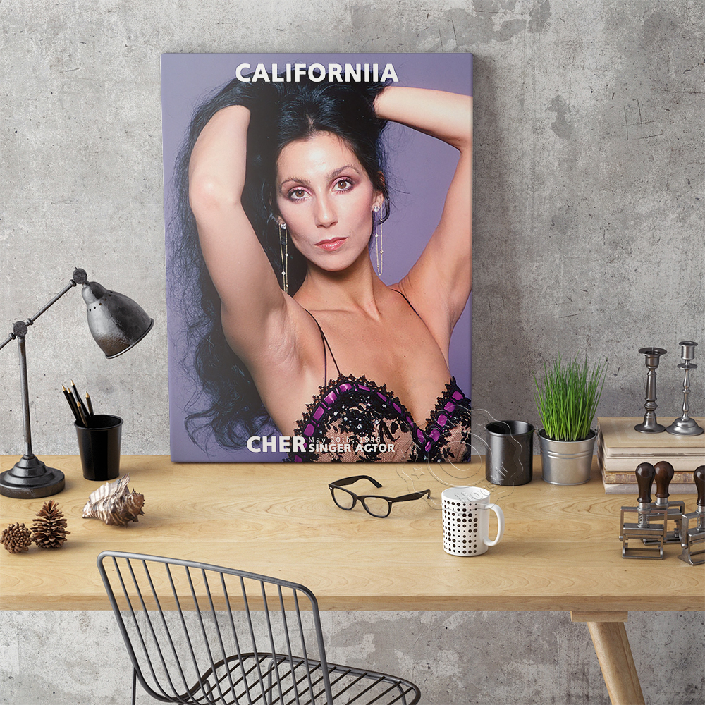 Cher Sexy Music Star Art Print - Vintage Collectible Magazines review and price
